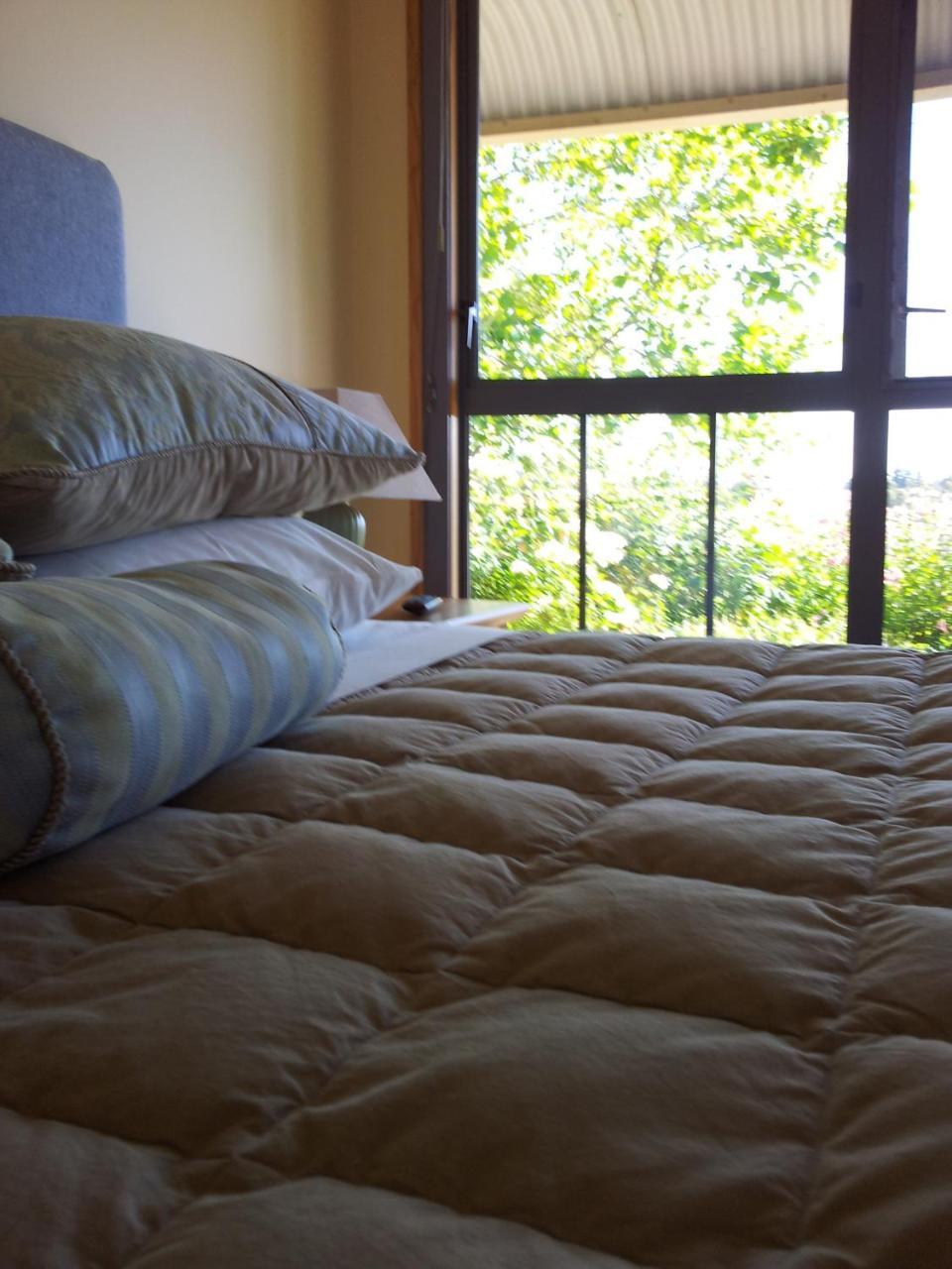Hawkdun Rise Vineyard & Accommodation อเล็กซานดรา ภายนอก รูปภาพ